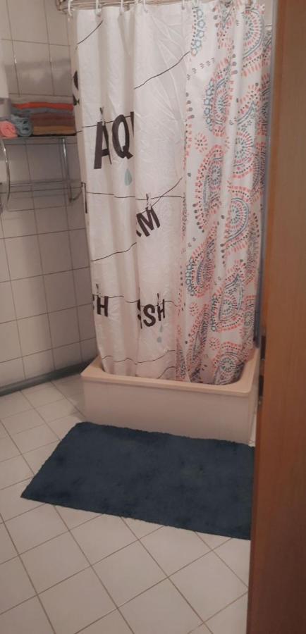 Halle, Top -Preise, 79 Qm Sd Fewo, Eg, Wahlweise Mit 1- 3 Dz, Tv Lounge, Kueche, Bad Wc Einfach Und Gut, Langzeitmieter Vb Preise Halle  Kültér fotó